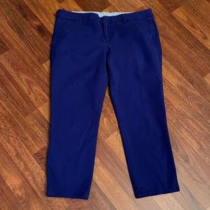 Electric Blue Cropped Ankle Pants